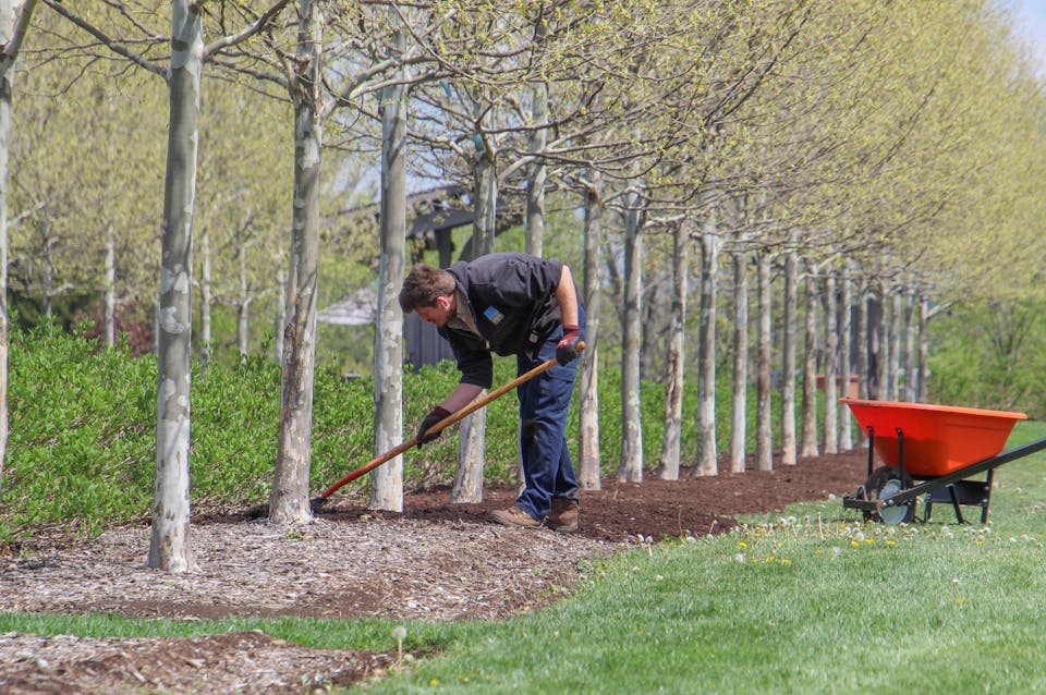 Outils essentiels pour jardinage 3